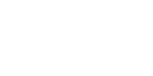 Conexão Importadora